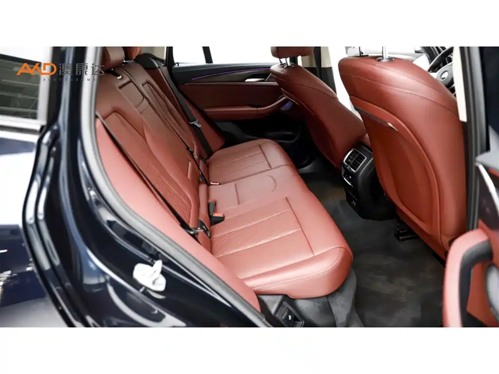 BMW X3 2023 xDrive30i Lead M