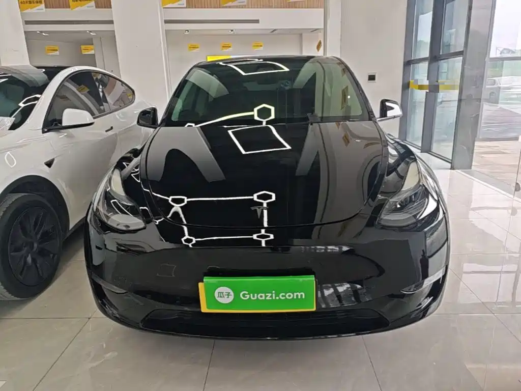 Tesla Model Y — миниатюра 3