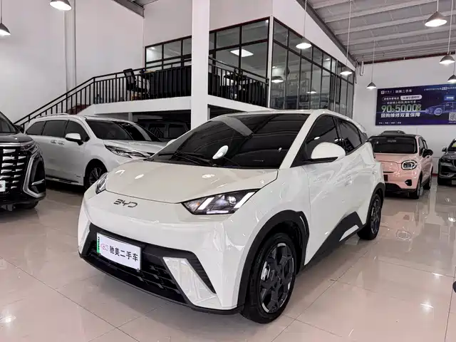 BYD Seagull