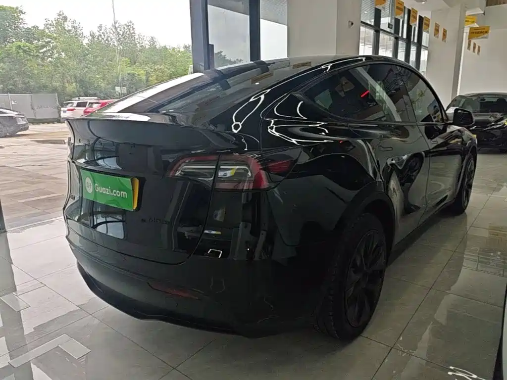 Tesla Model Y — миниатюра 7