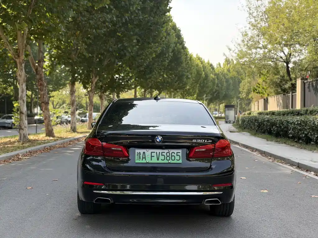 BMW 5 Series New Energy — миниатюра 8