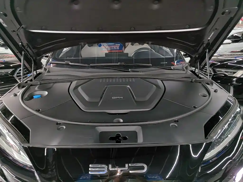 BYD PLUS New Energy — миниатюра 20