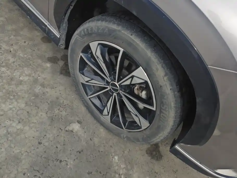 Roewe RX5 New Energy — миниатюра 6