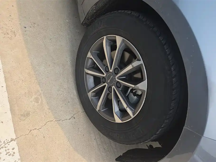BYD Destroyer 05 2024 DM-i 55KM Luxury