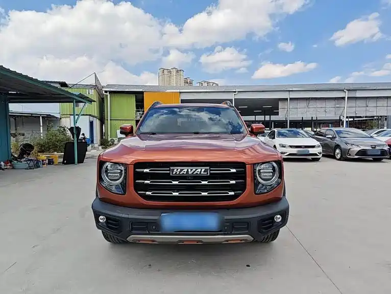 Haval Big Dog — миниатюра 24