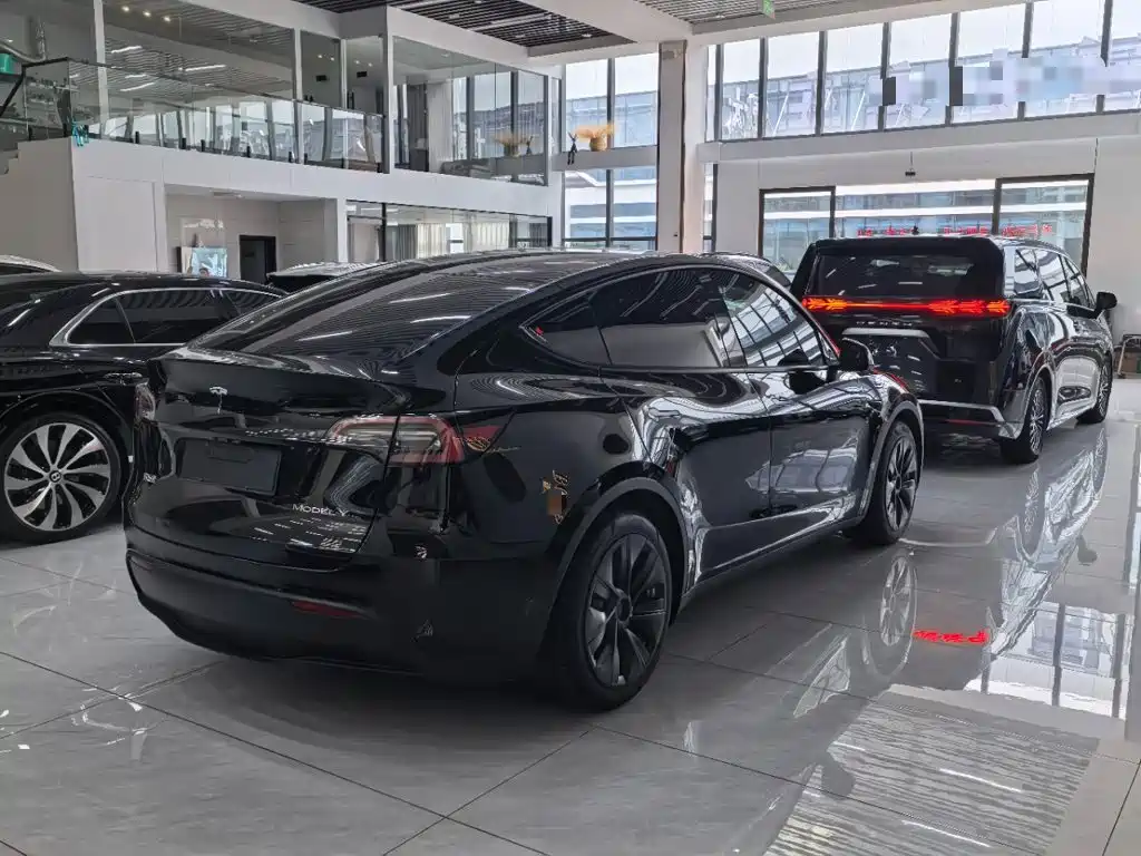 Tesla Model Y — миниатюра 7