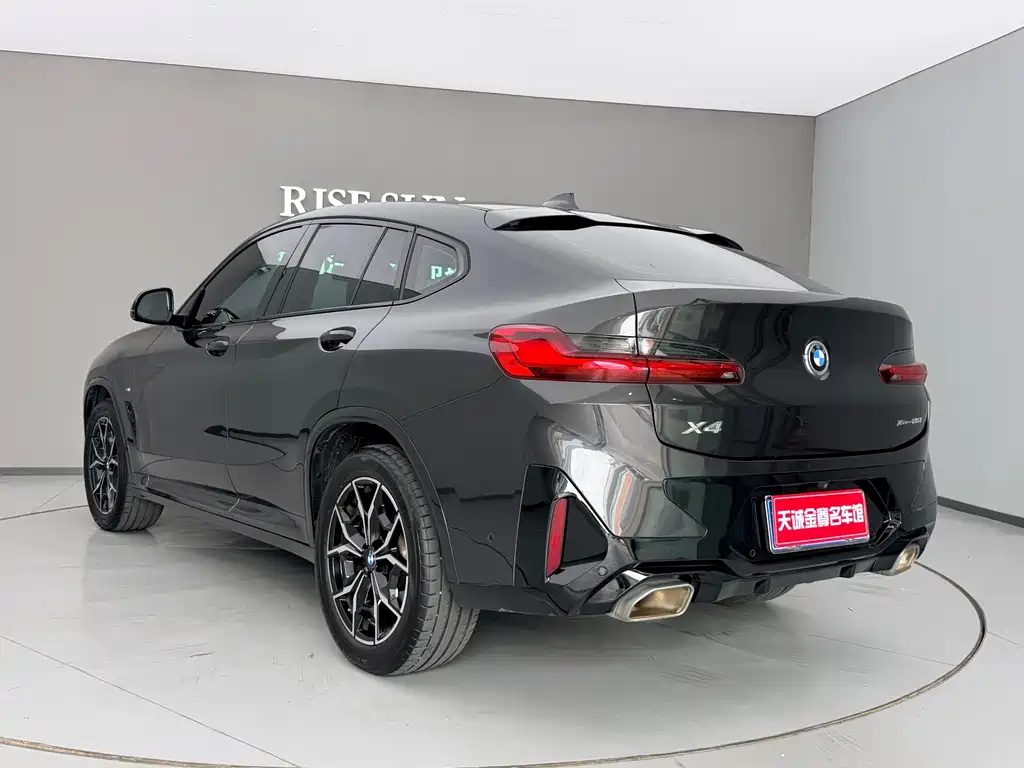 BMW X4 — миниатюра 16