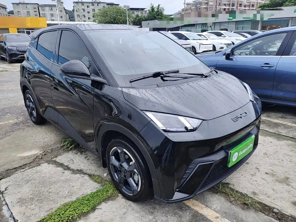 BYD Seagull 2024 305km Freedom