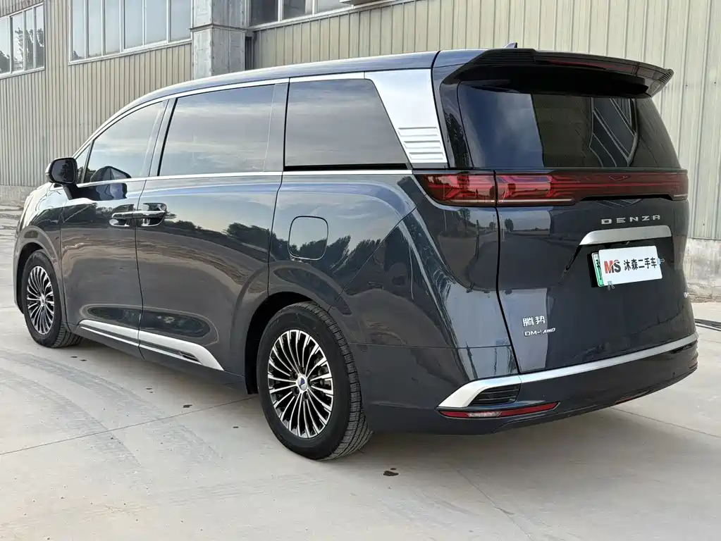Denza Denza D9 — миниатюра 4