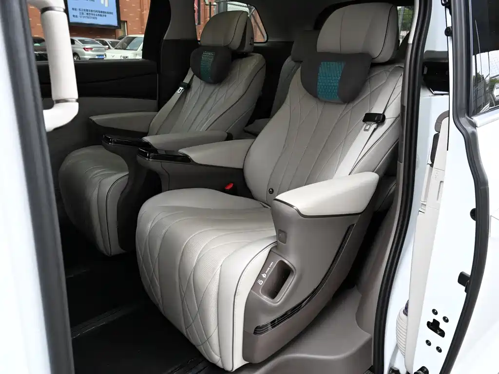 Denza Denza D9 — миниатюра 8