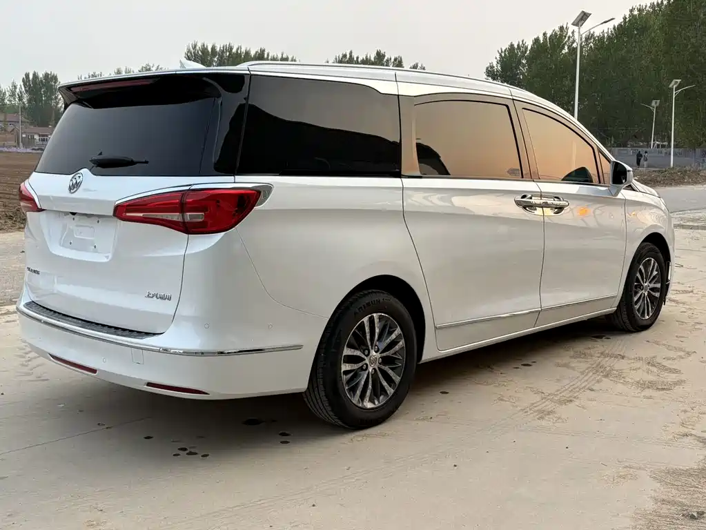 Buick GL8 — миниатюра 6