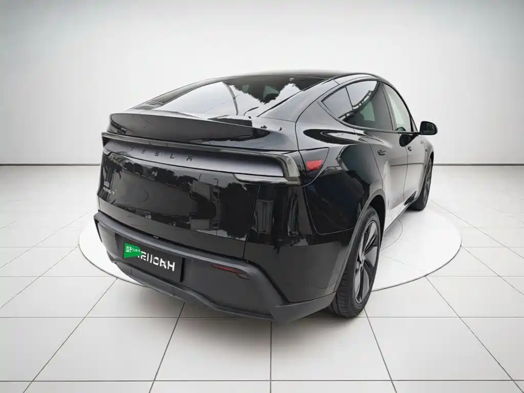 Tesla Model Y — миниатюра 4