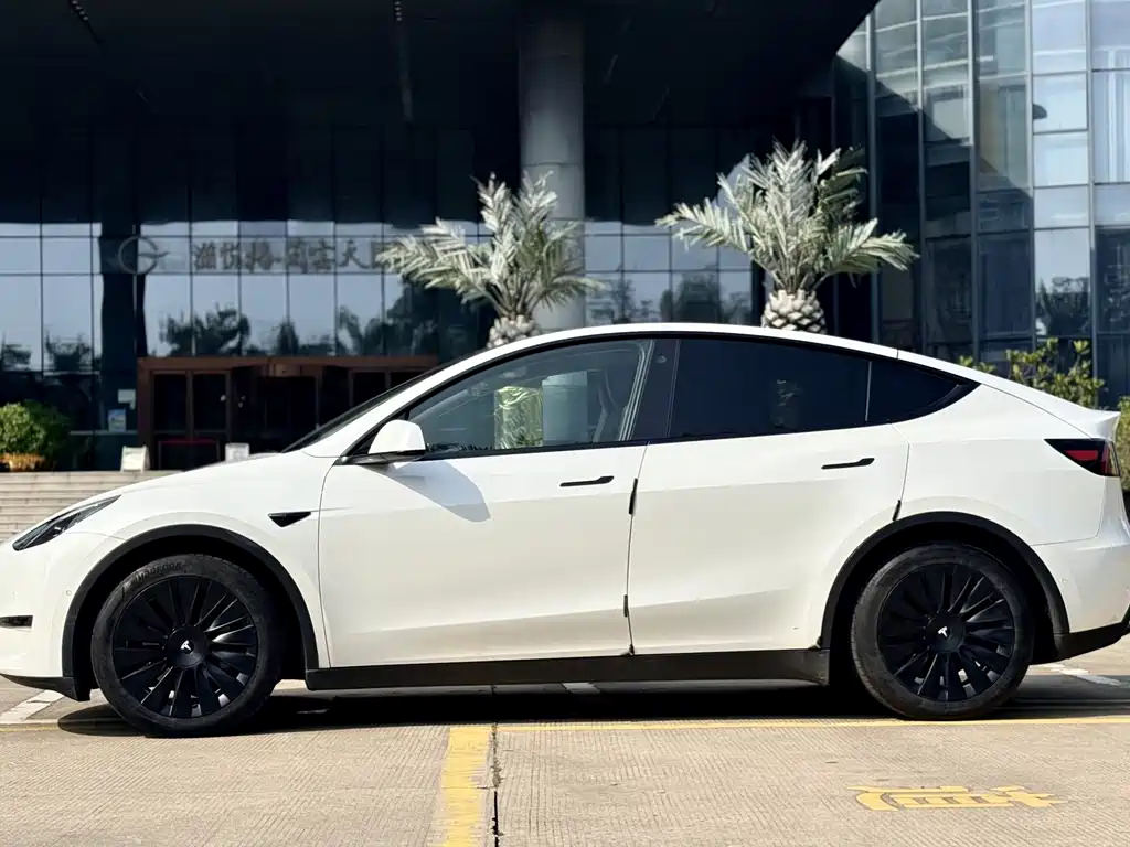 Tesla Model Y — миниатюра 13