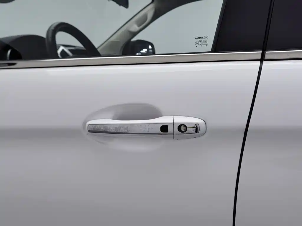 Haval H9 — миниатюра 18