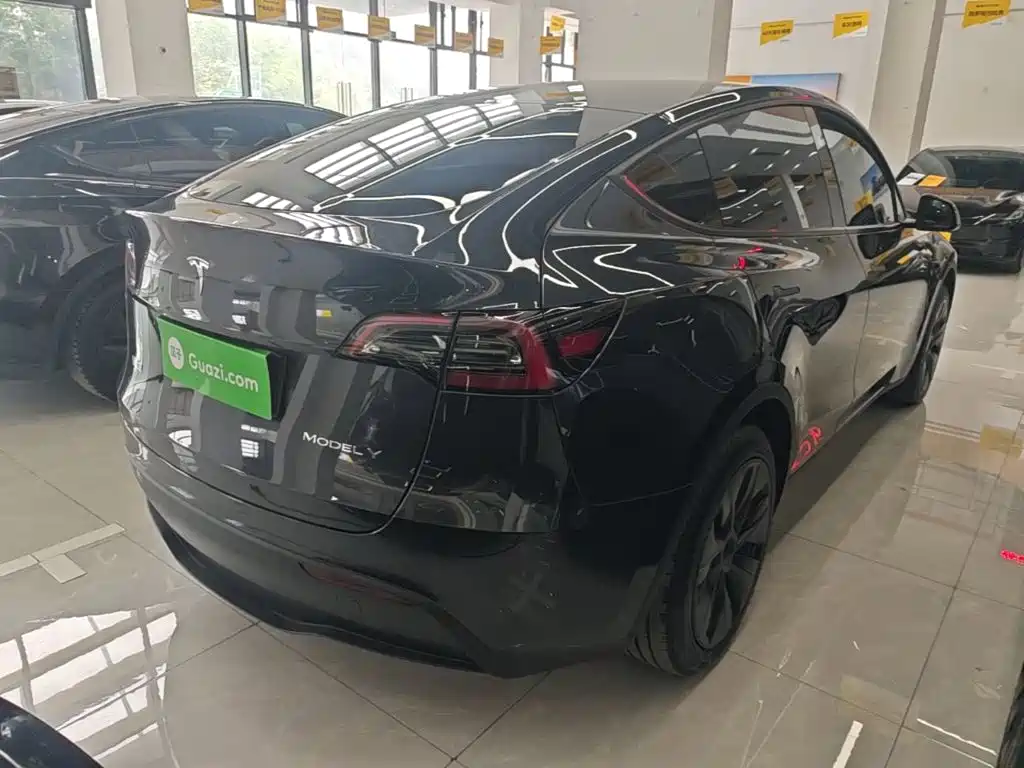 Tesla Model Y — миниатюра 7