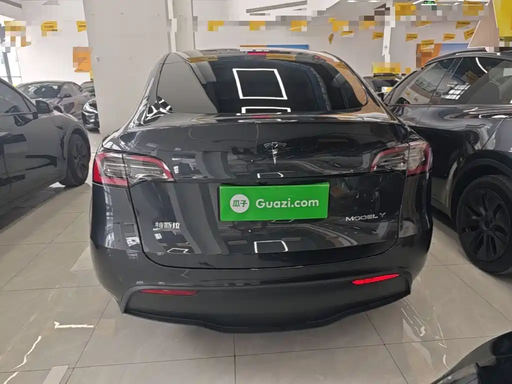 Tesla Model Y — миниатюра 6