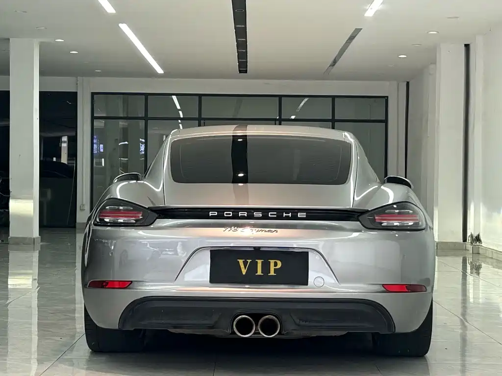 Porsche 718 — миниатюра 8