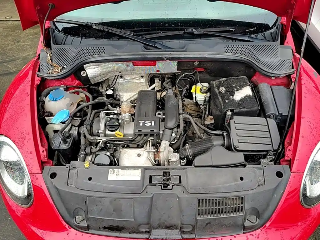 Volkswagen Beetle — миниатюра 20