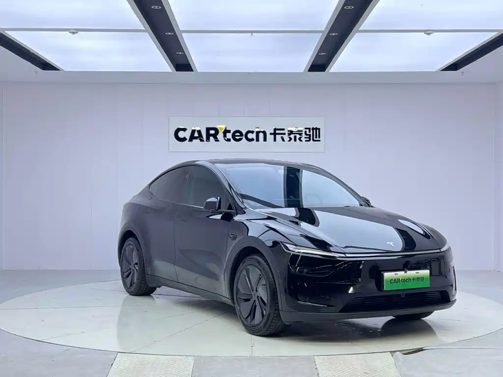 Tesla Model Y — миниатюра 7