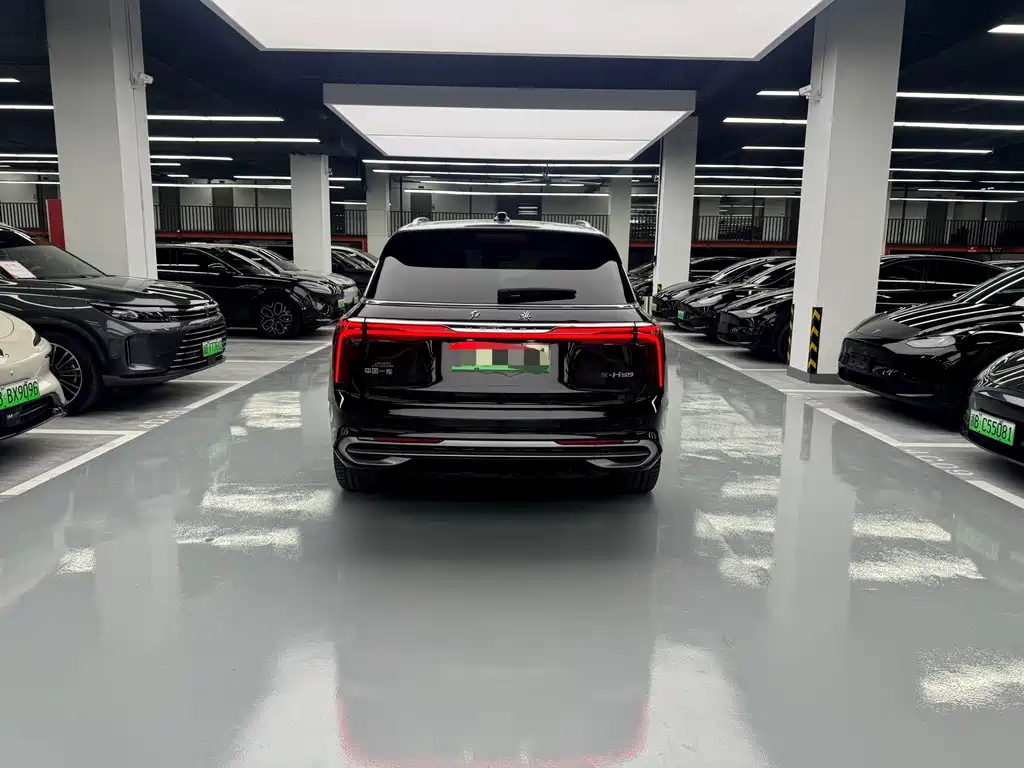 Hongqi Hongqi E-HS9 — миниатюра 16