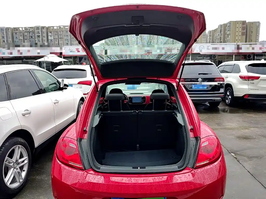 Volkswagen Beetle — миниатюра 19