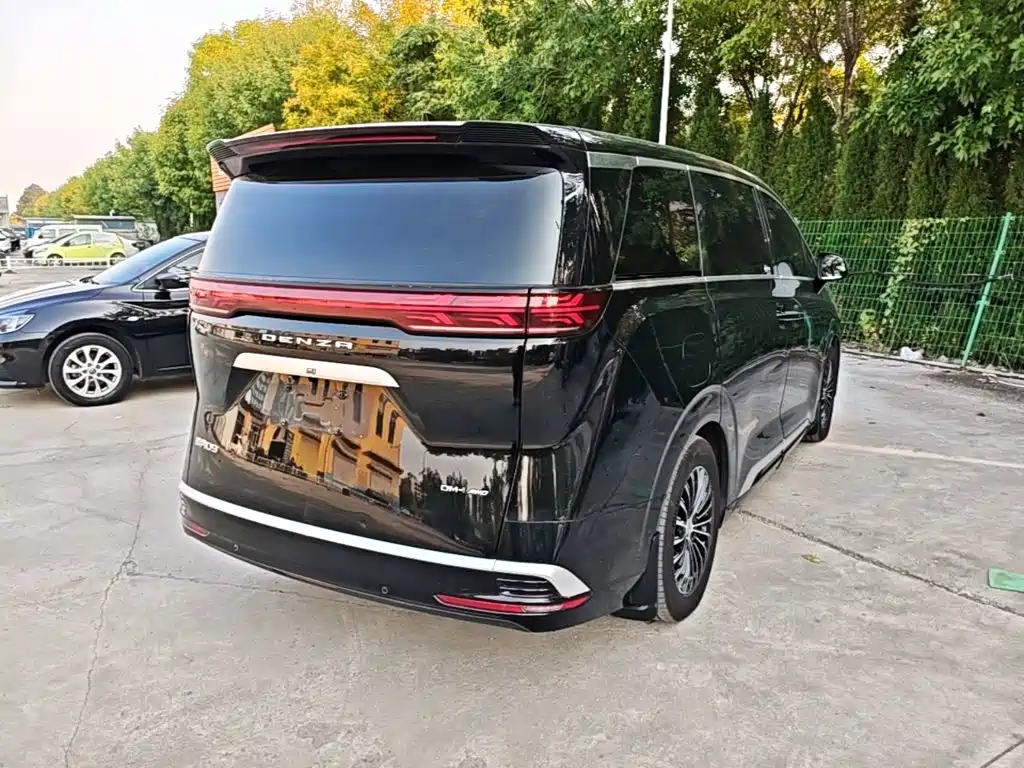 Denza Denza D9 — миниатюра 7