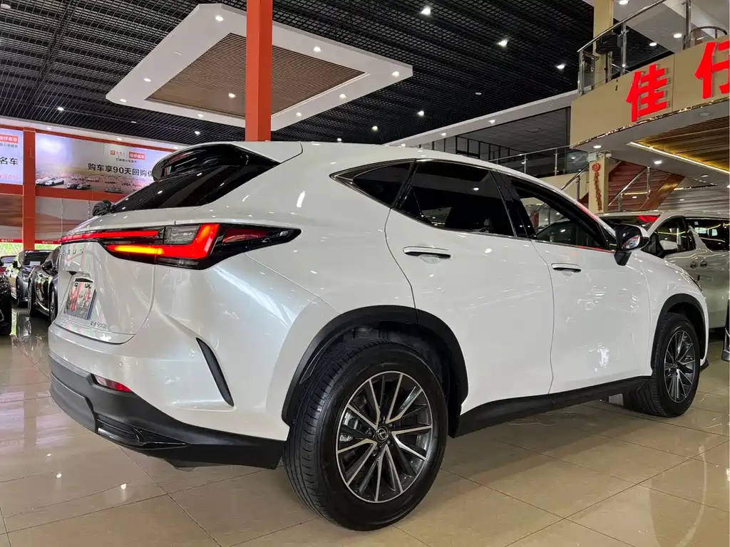 Lexus NX — миниатюра 4