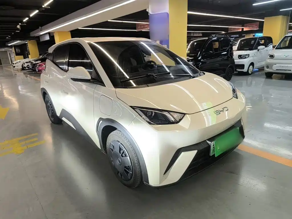 BYD Seagull 2024 305km