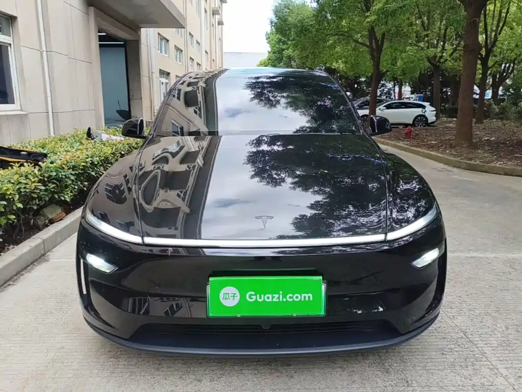 Tesla Model Y L — миниатюра 3