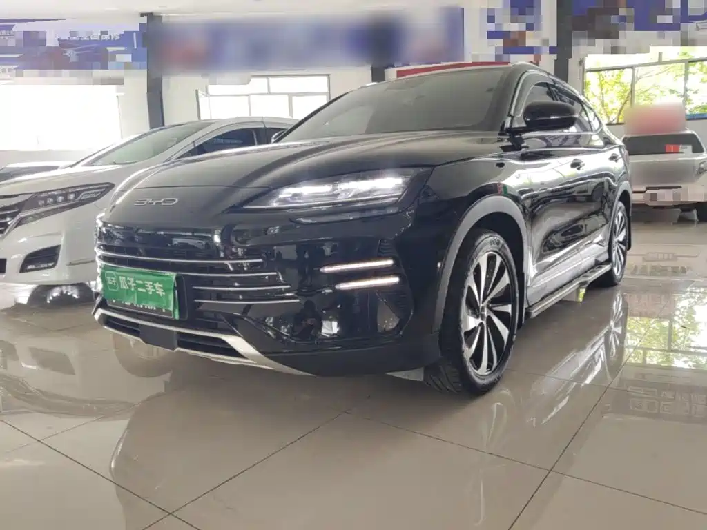 BYD PLUS New Energy — миниатюра 2