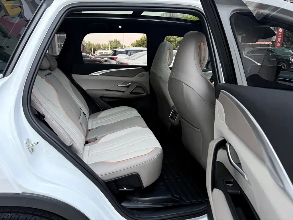BYD Pro New Energy — миниатюра 28
