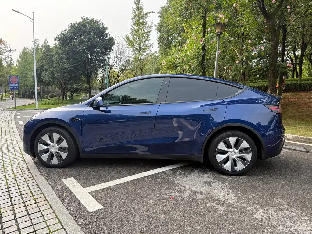 Tesla Model Y — миниатюра 12