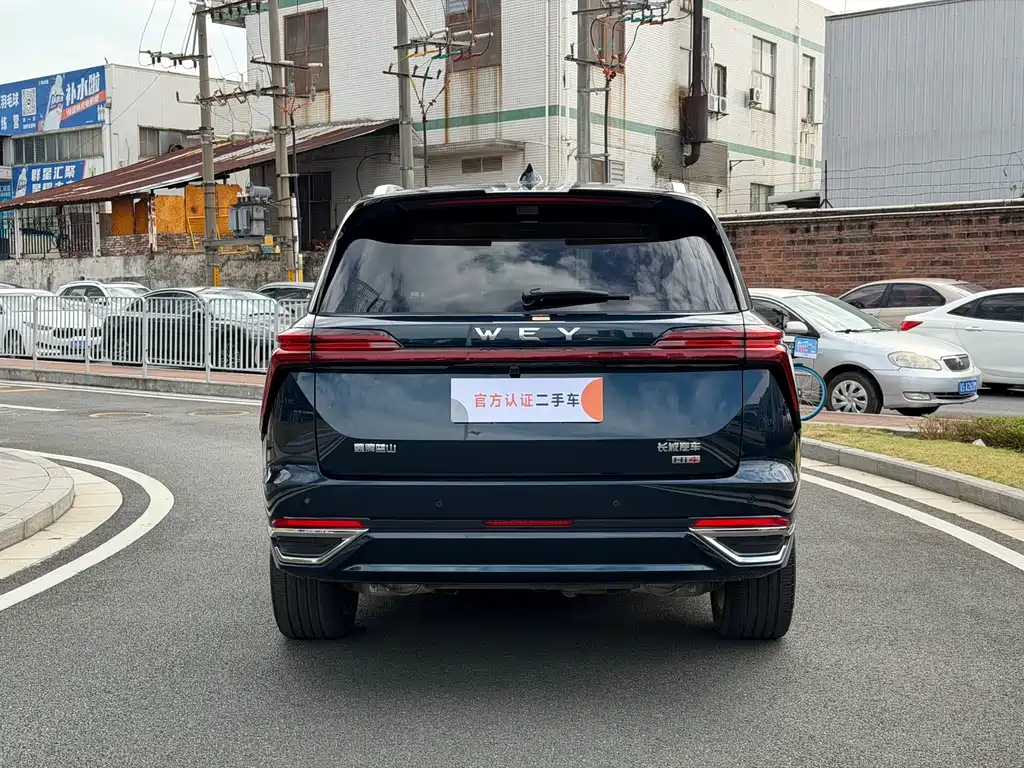 WEI PAI WEI BRAND BLUE MOUNTAIN