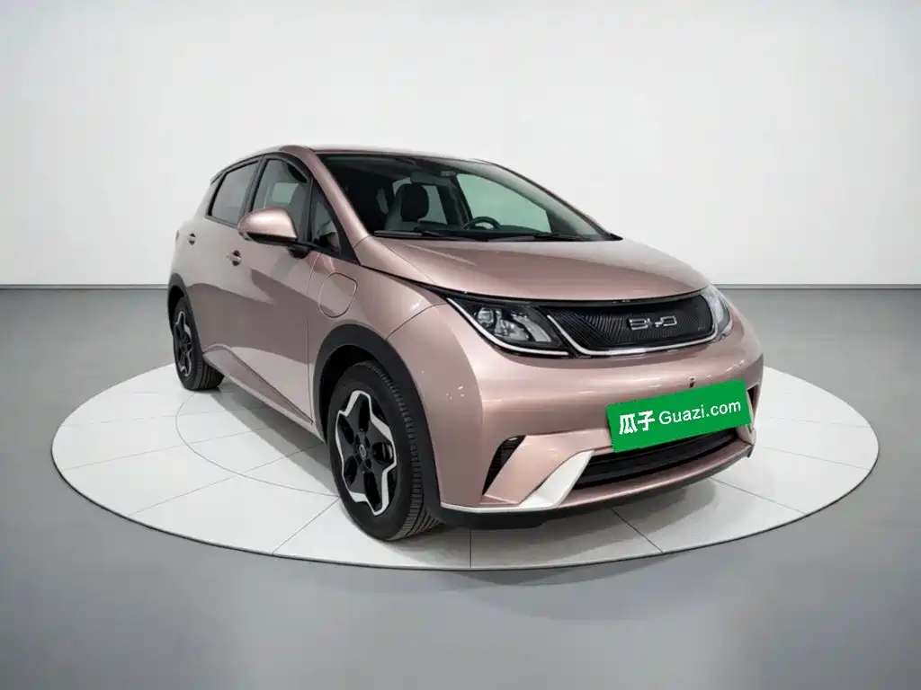 BYD Dolphin — миниатюра 3