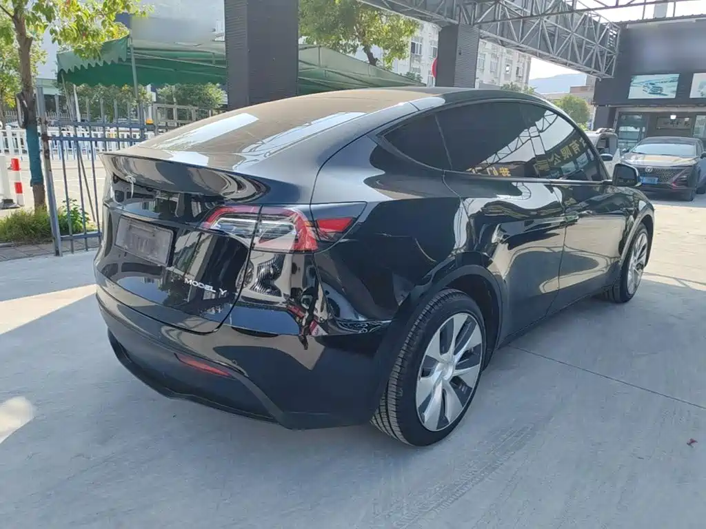 Tesla Model Y — миниатюра 7