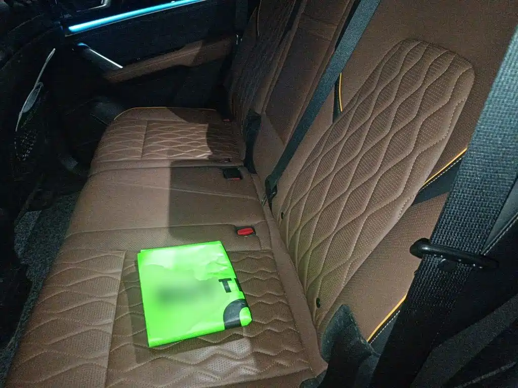 BYD Tang New Energy — миниатюра 18