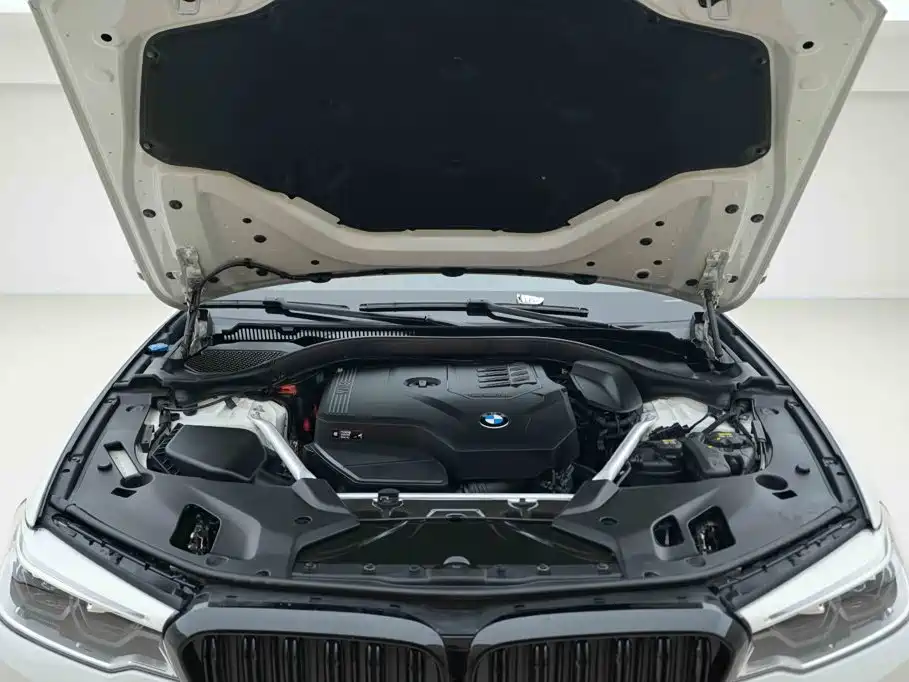 BMW 5 Series (Import) — миниатюра 7