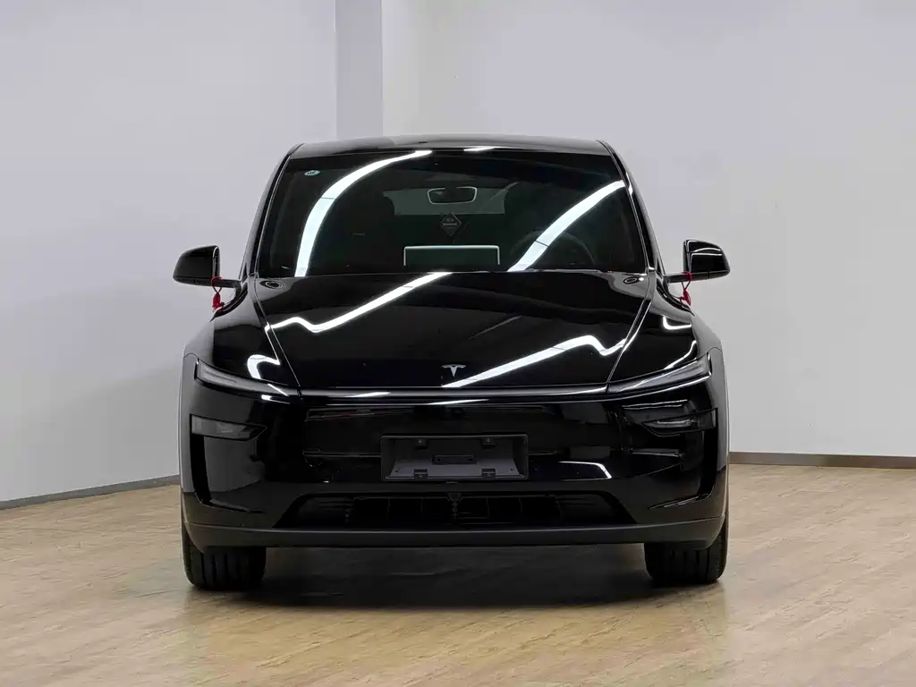 Tesla Model Y — миниатюра 2