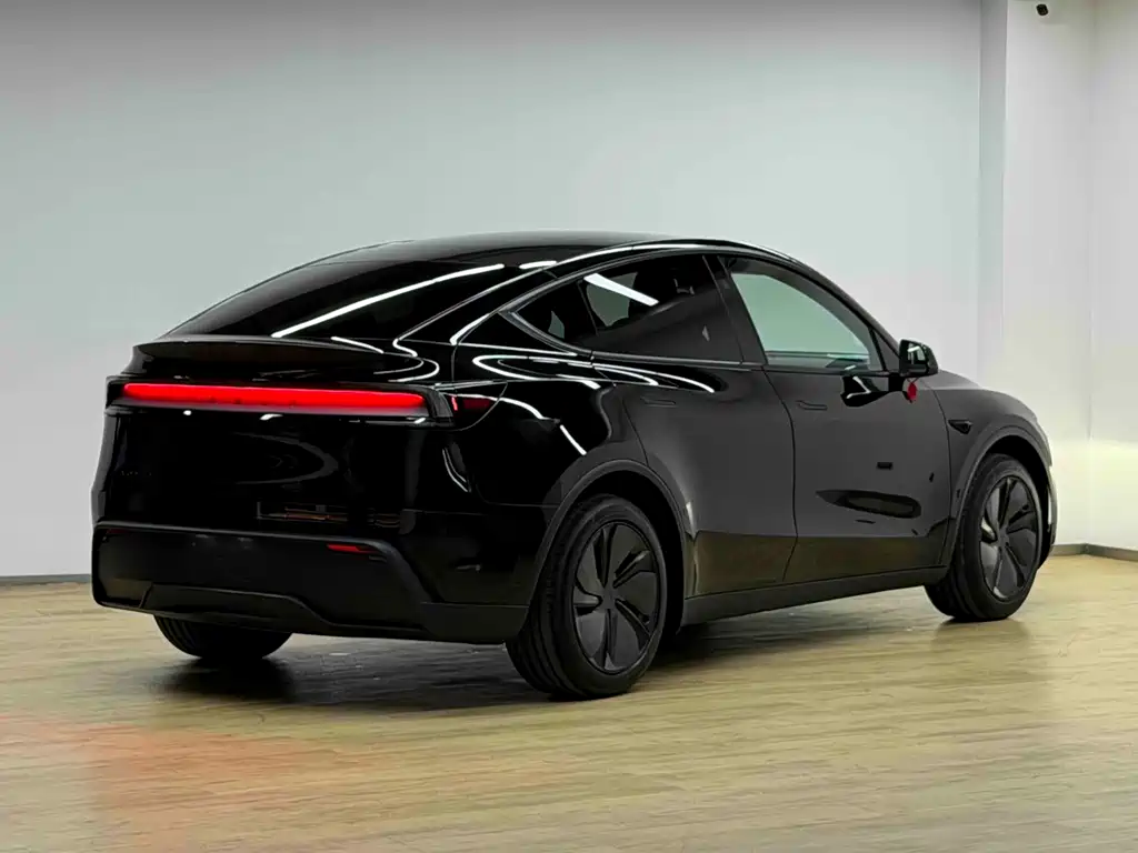 Tesla Model Y — миниатюра 23