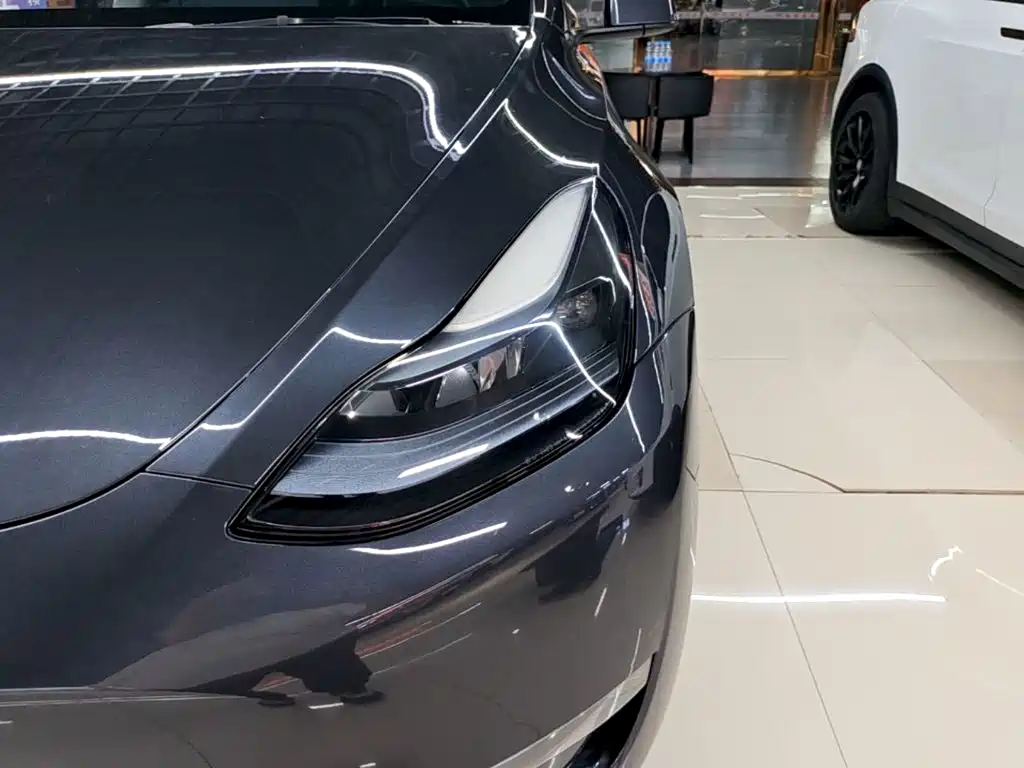 Tesla Model Y — миниатюра 24