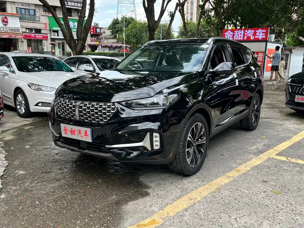 Wey Wey VV6