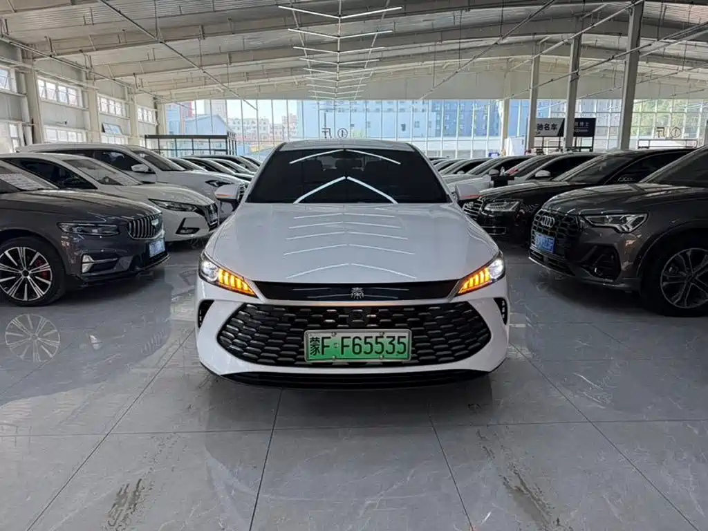 BYD Qin PLUS — миниатюра 2