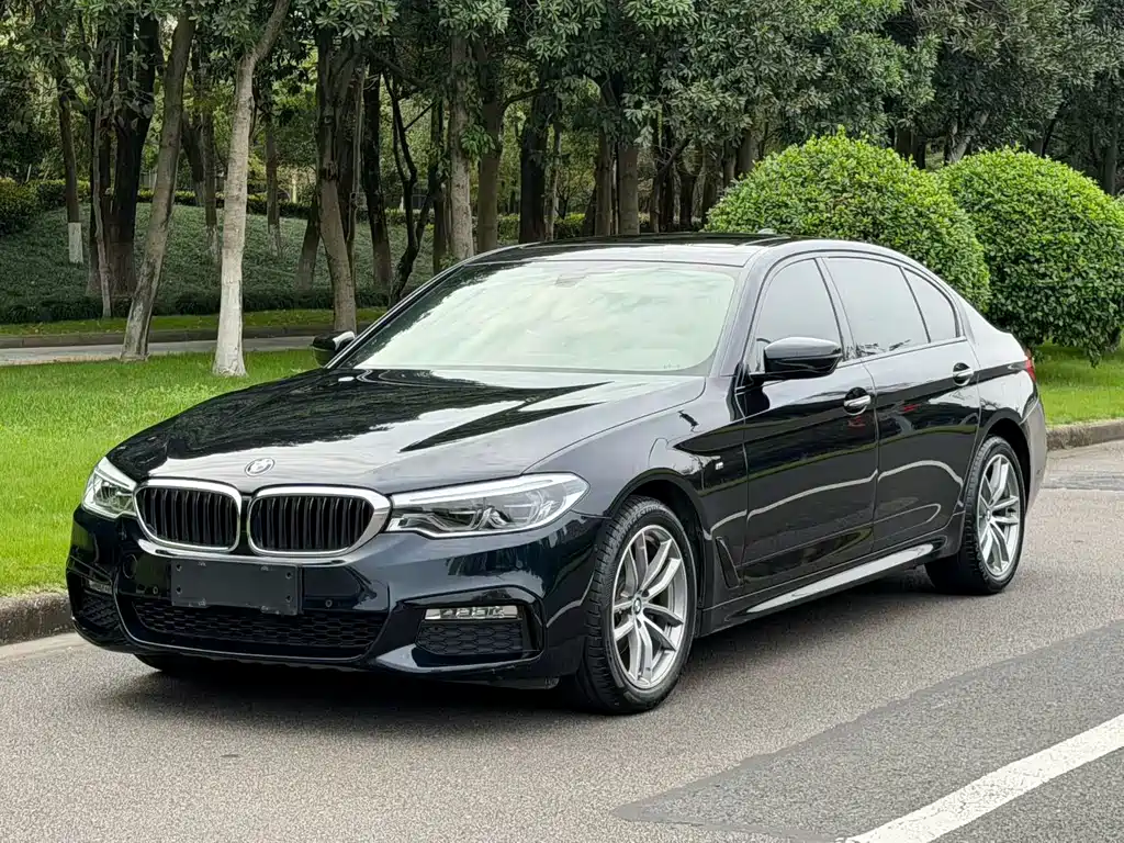 BMW 5 Series — миниатюра 3