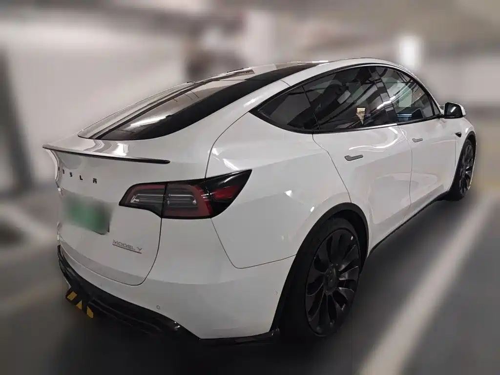 Tesla Model Y — миниатюра 6
