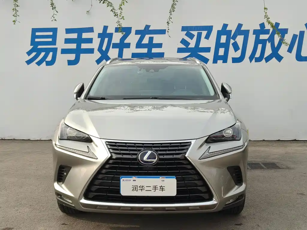 Lexus NX — миниатюра 2