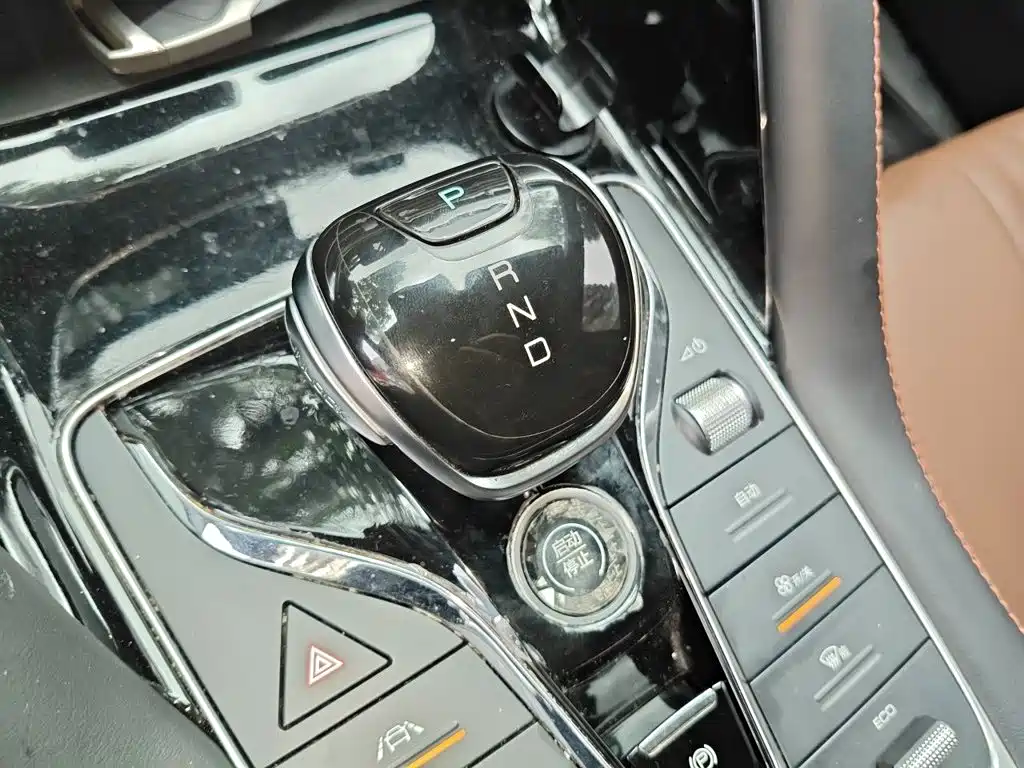 BYD PLUS — миниатюра 7