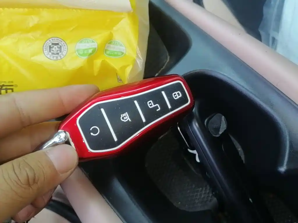 BYD Seagull 2023 Freedom