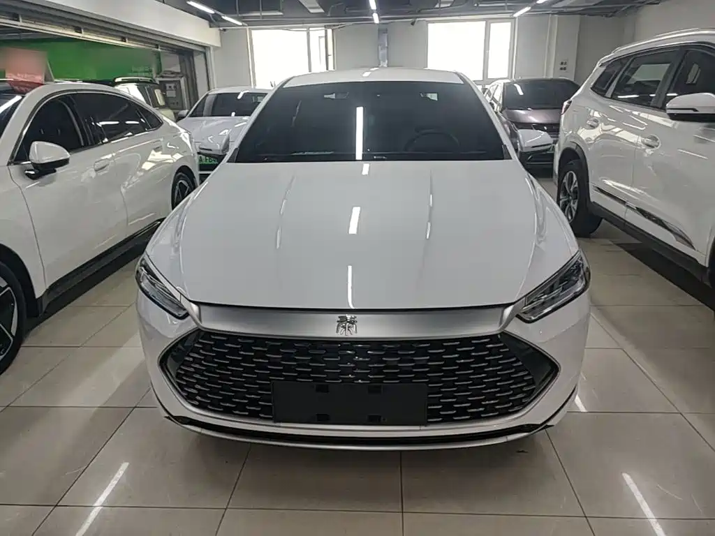 BYD Qin Plus PLUS 2023 Champion DM-i 55KM Lead