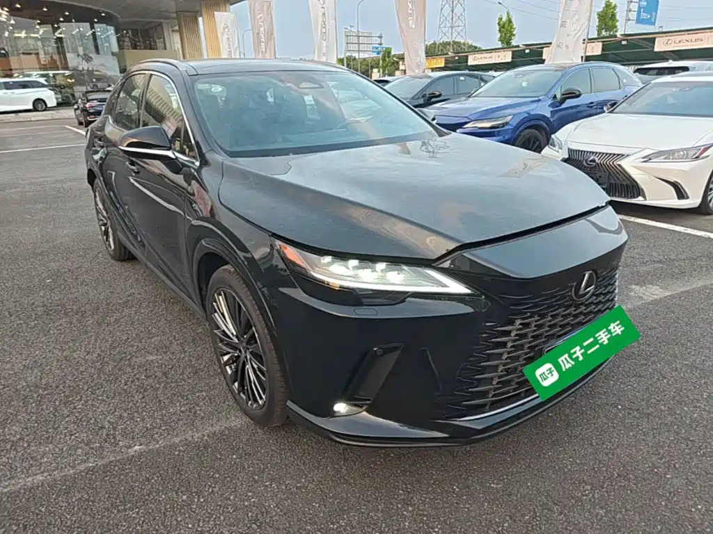 Lexus RX — миниатюра 4