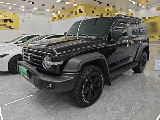 Tank 300